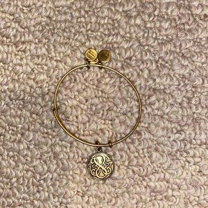 alex and ani bracelet
